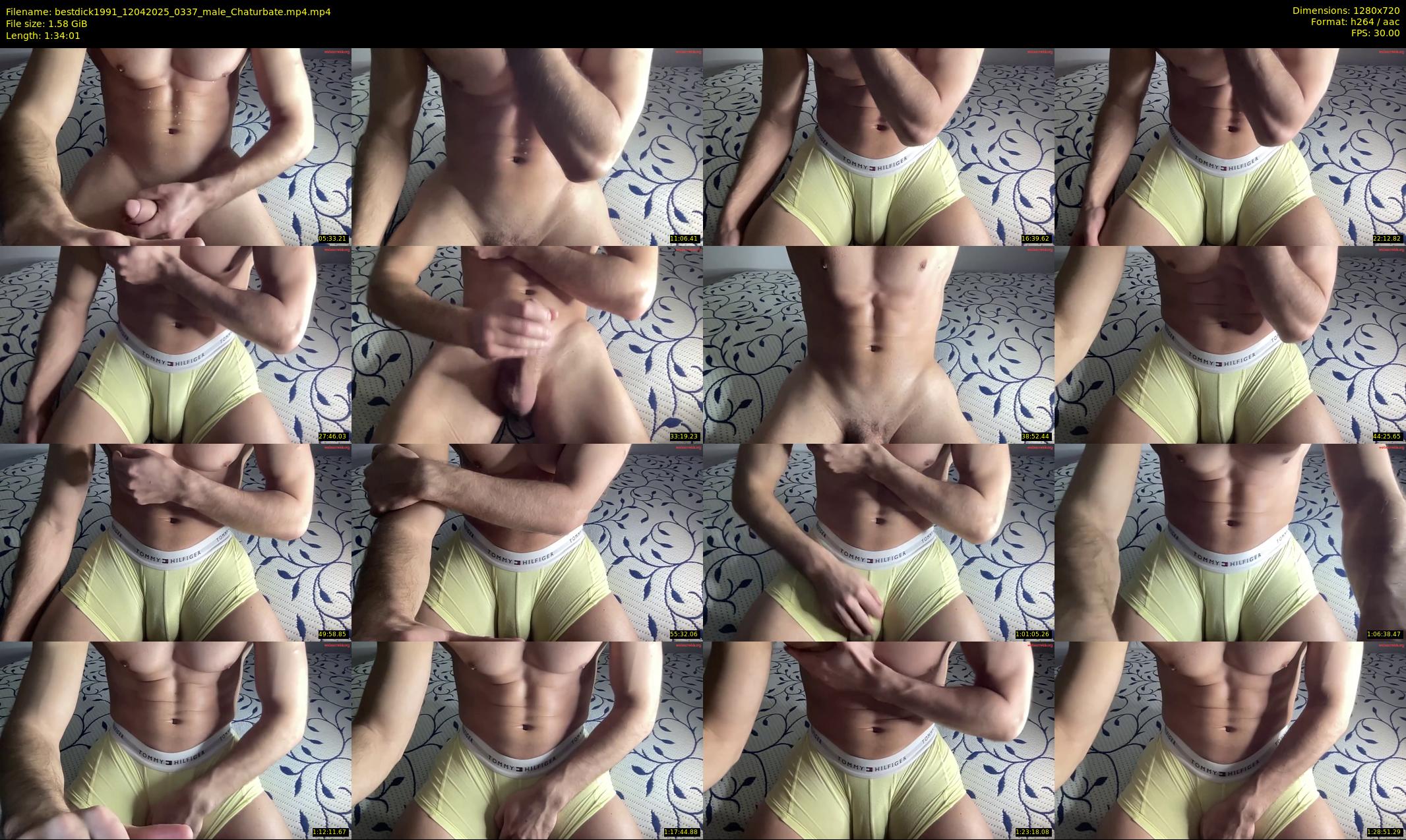 bestdick1991 — 95 minute Chaturbate male cam show recording, 720p, Apr 12, 2025