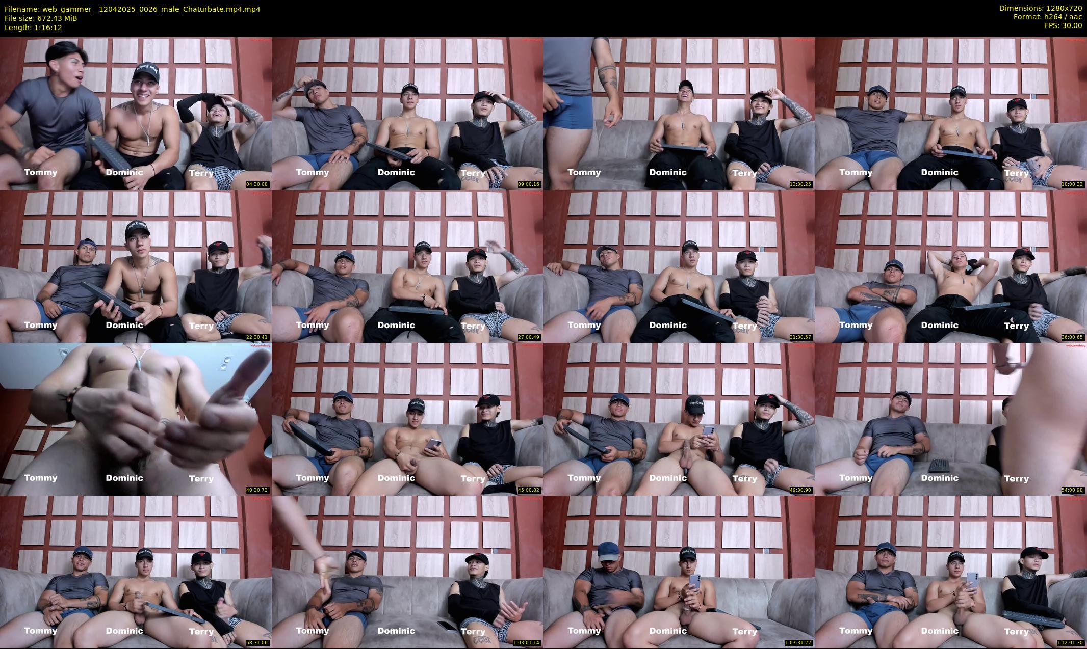 web_gammer_ — 77 minute Chaturbate male cam show recording, 720p, Apr 12, 2025