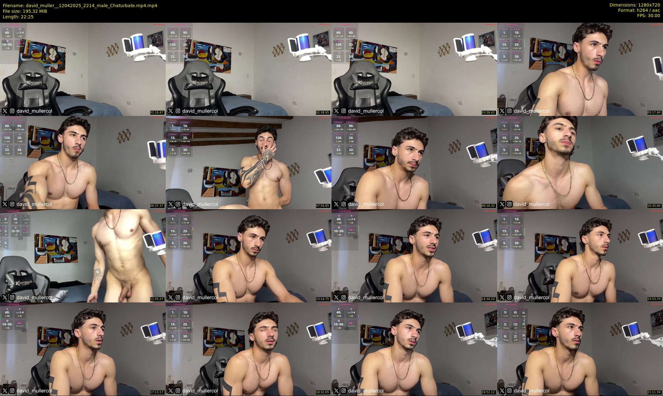 david_muller_ — 23 minute Chaturbate male cam show recording, 720p, Apr 12, 2025