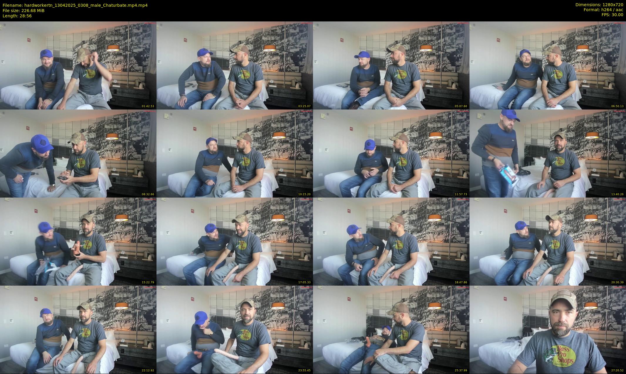 hardworkertn — 29 minute Chaturbate male cam show recording, 720p, Apr 13, 2025