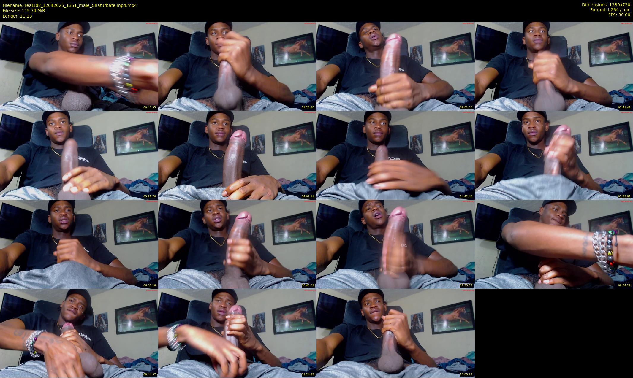 real1dk — 12 minute Chaturbate male cam show recording, 720p, Apr 12, 2025