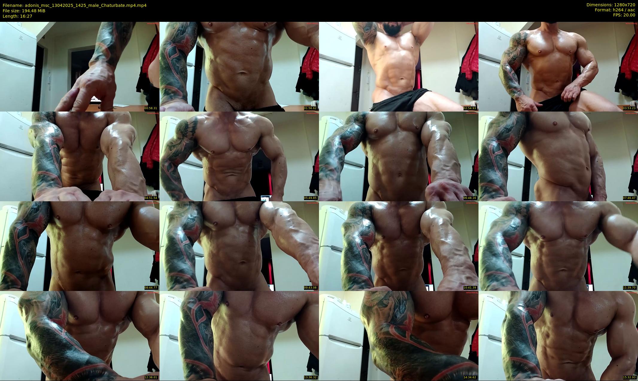 adonis_msc — 17 minute Chaturbate male cam show recording, 720p, Apr 13, 2025