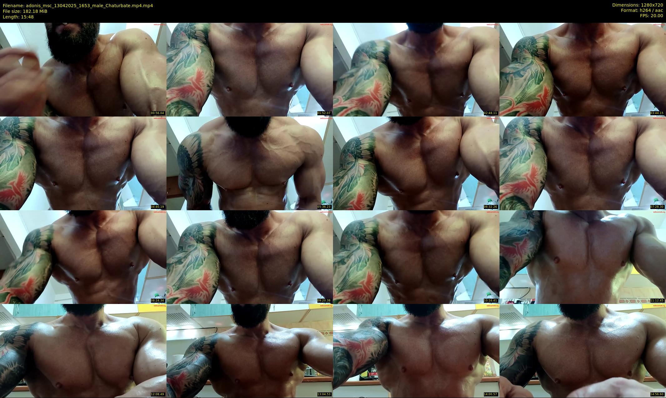 adonis_msc — 16 minute Chaturbate male cam show recording, 720p, Apr 13, 2025