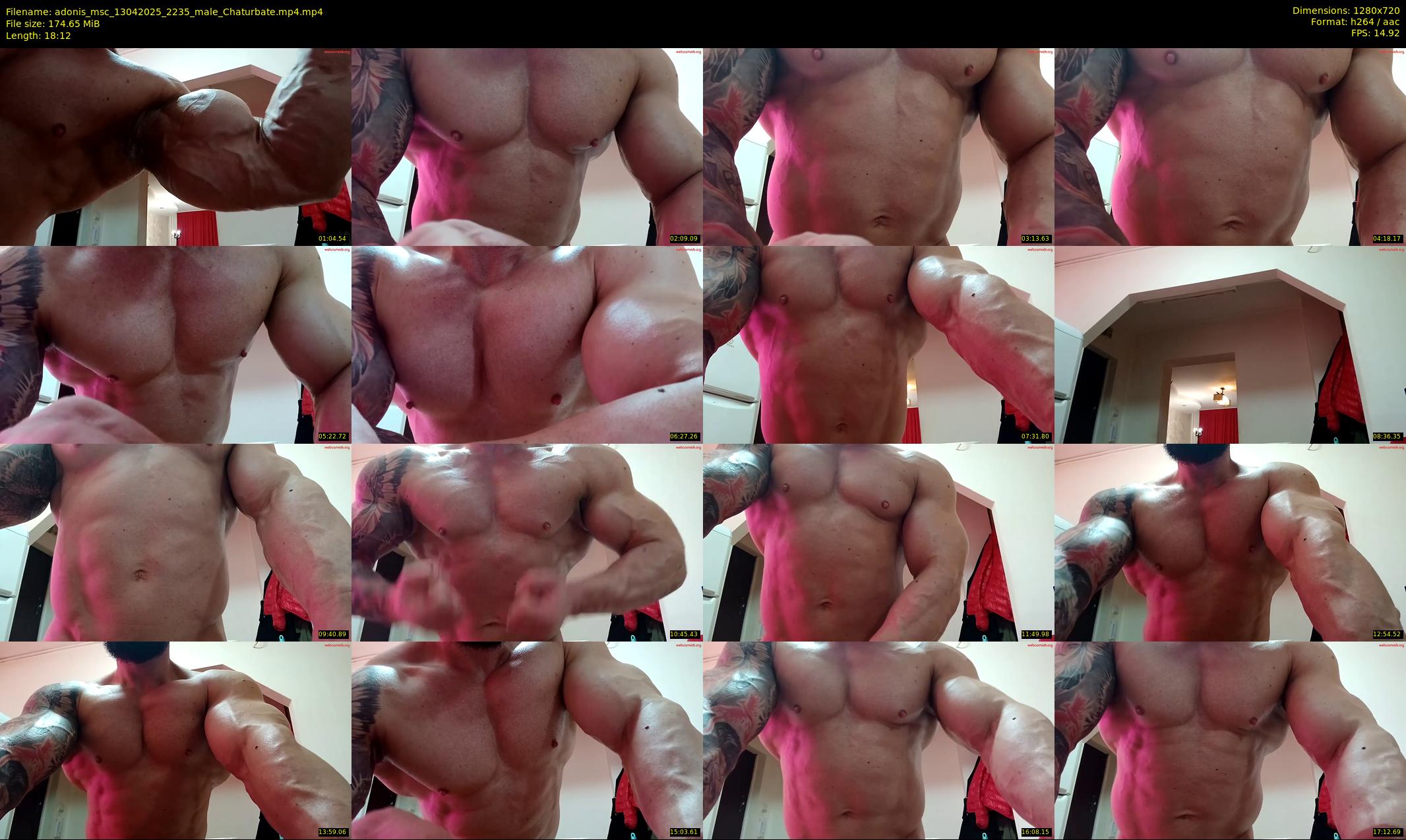 adonis_msc — 19 minute Chaturbate male cam show recording, 720p, Apr 13, 2025
