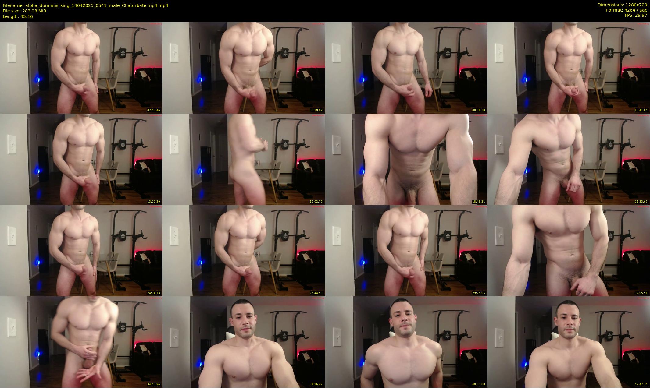 alpha_dominus_king — 46 minute Chaturbate male cam show recording, 720p, Apr 14, 2025