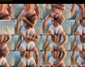 bestdick1991 — 27 minute Chaturbate male cam show recording, 720p, Apr 13, 2025