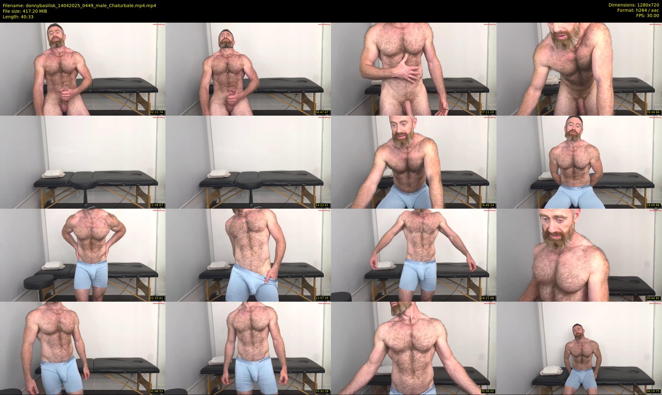 donnybasilisk — 41 minute Chaturbate male cam show recording, 720p, Apr 14, 2025