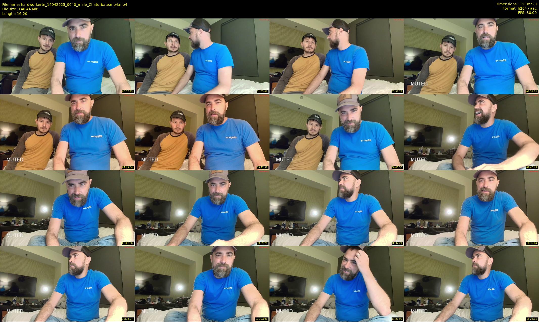 hardworkertn — 17 minute Chaturbate male cam show recording, 720p, Apr 14, 2025