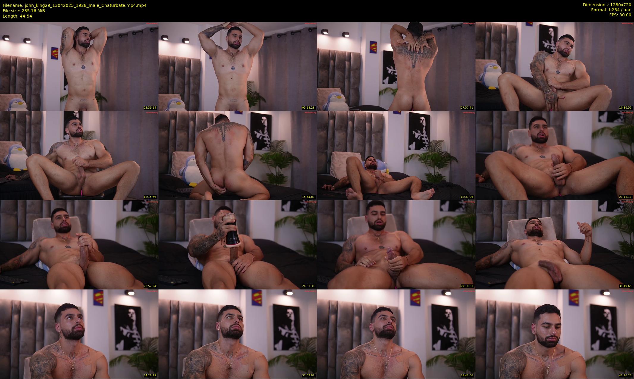 john_king29 — 45 minute Chaturbate male cam show recording, 720p, Apr 13, 2025