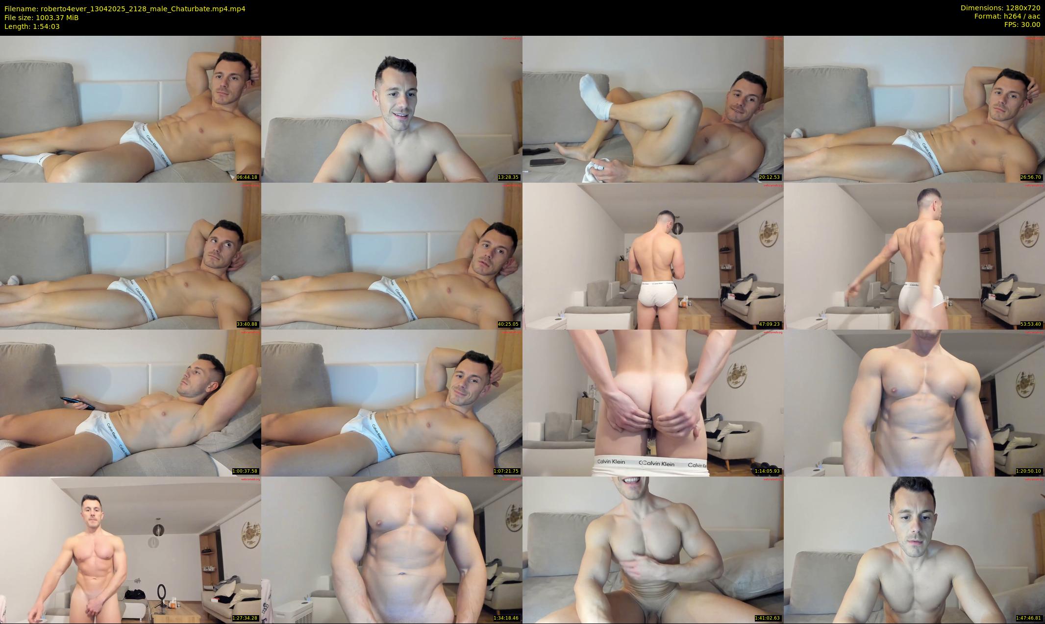 roberto4ever — 115 minute Chaturbate male cam show recording, 720p, Apr 13, 2025