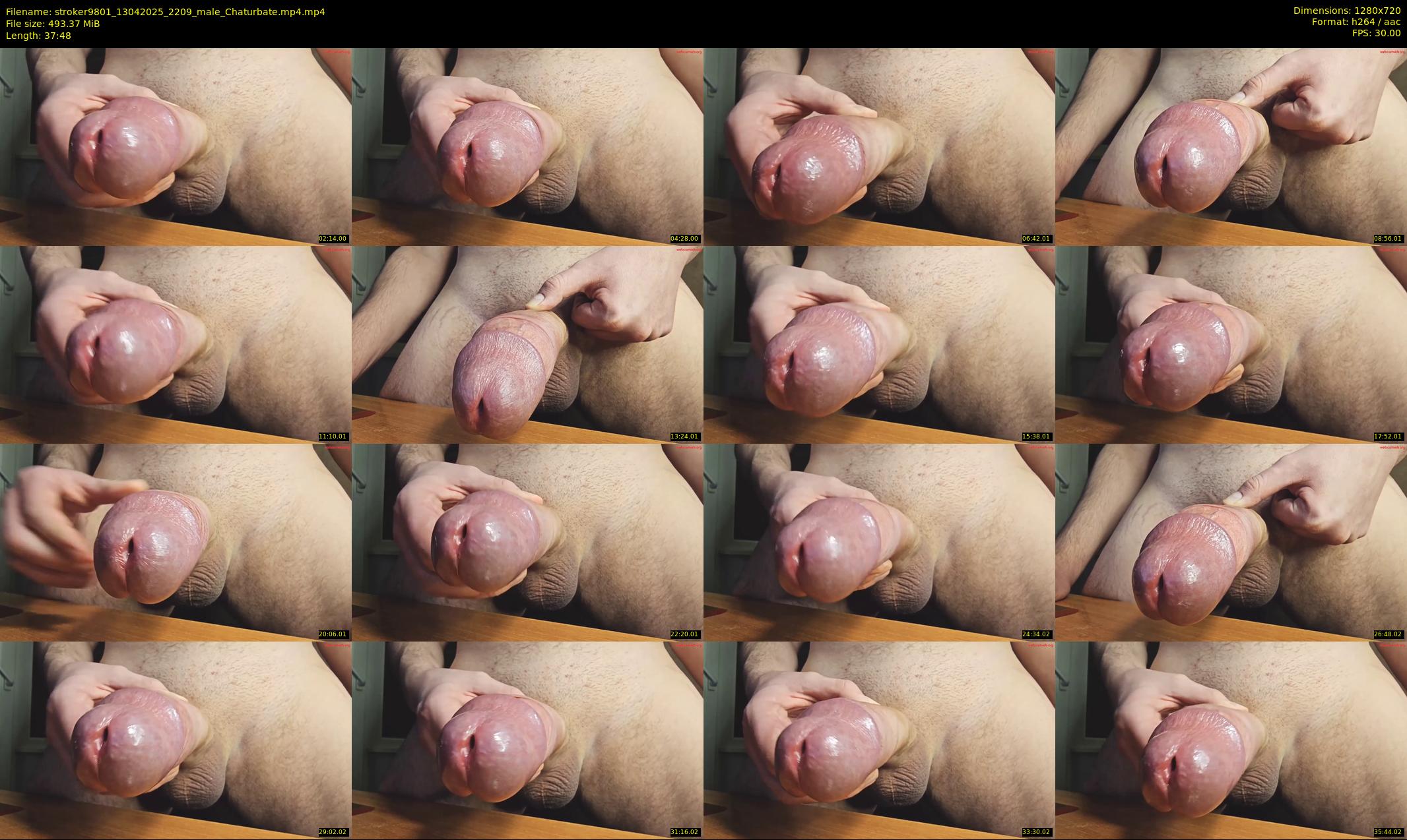 stroker9801 — 38 minute Chaturbate male cam show recording, 720p, Apr 13, 2025
