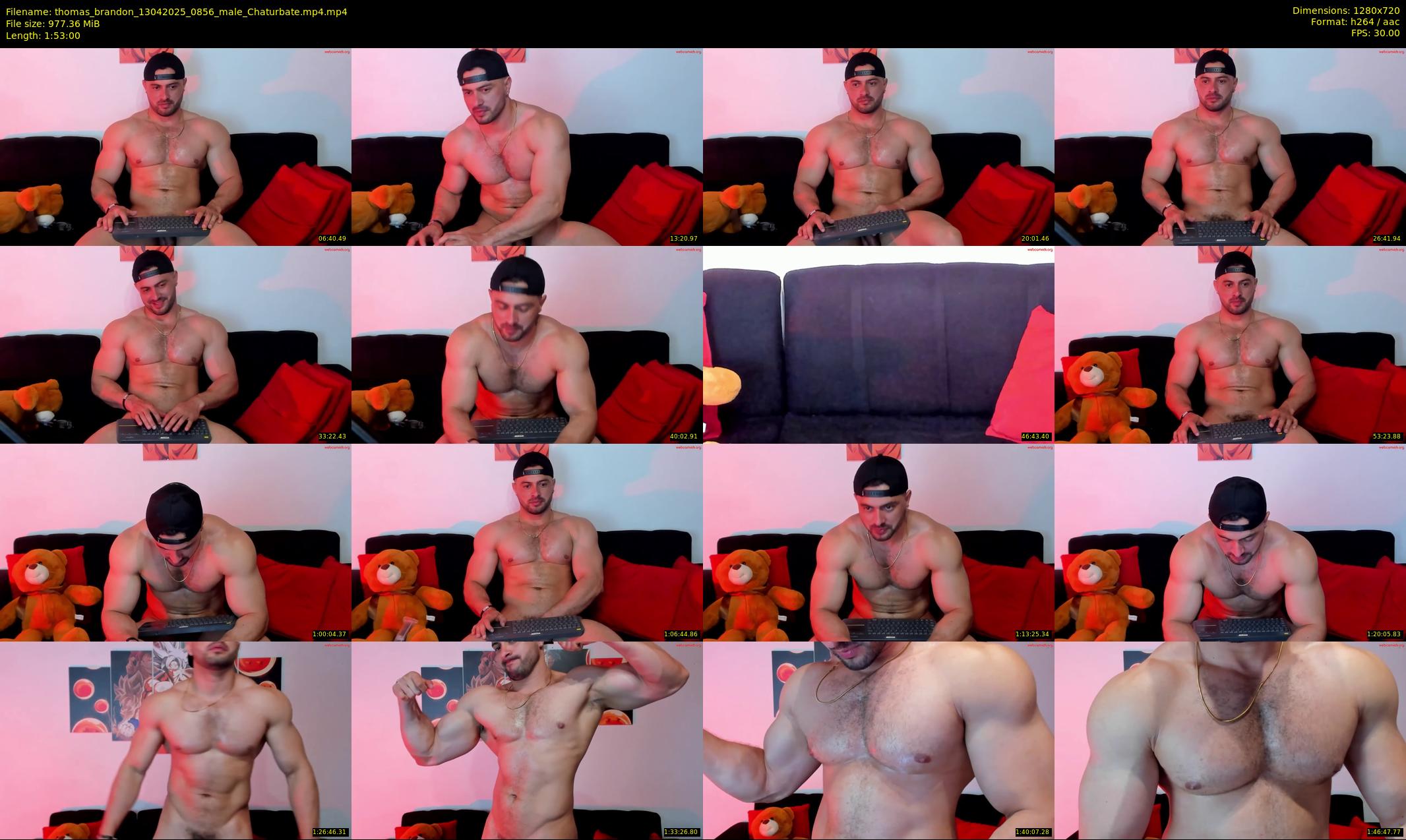 thomas_brandon — 113 minute Chaturbate male cam show recording, 720p, Apr 13, 2025