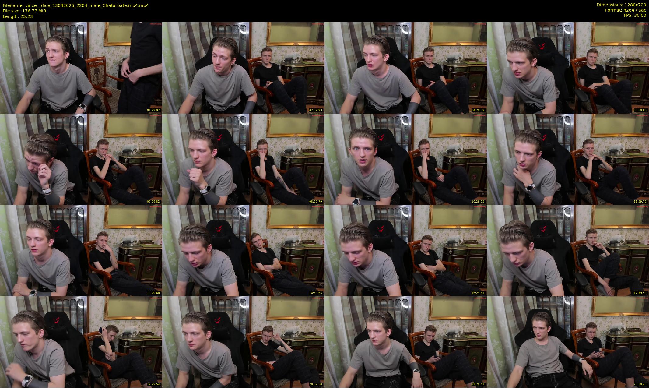 vince__dice — 26 minute Chaturbate male cam show recording, 720p, Apr 13, 2025