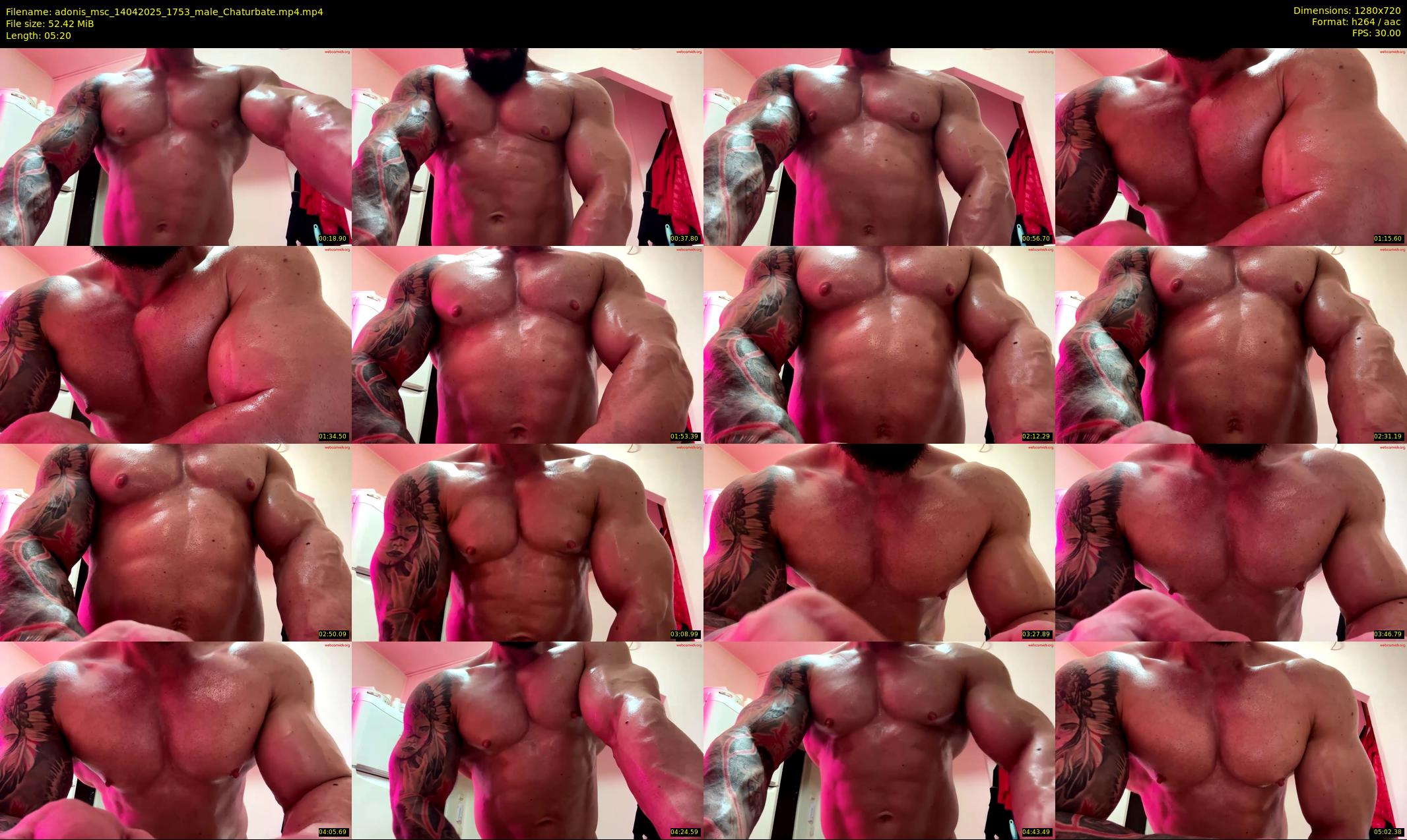 adonis_msc — 6 minute Chaturbate male cam show recording, 720p, Apr 14, 2025