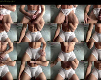 bestdick1991 — 82 minute Chaturbate male cam show recording, 720p, Apr 15, 2025