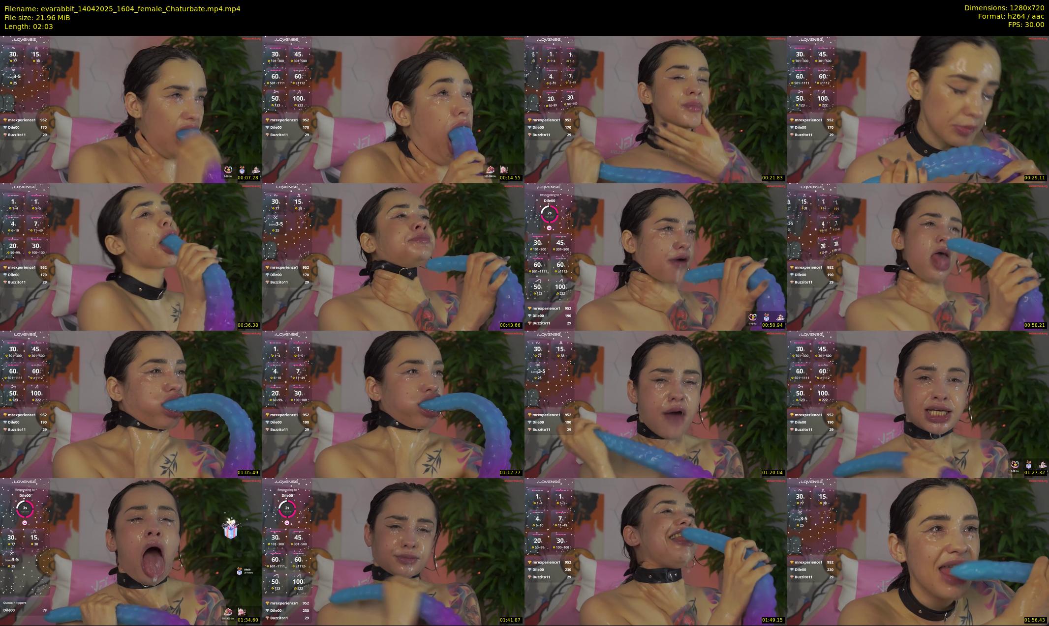 evarabbit — 3 minute Chaturbate female cam show recording, 720p, Apr 14, 2025