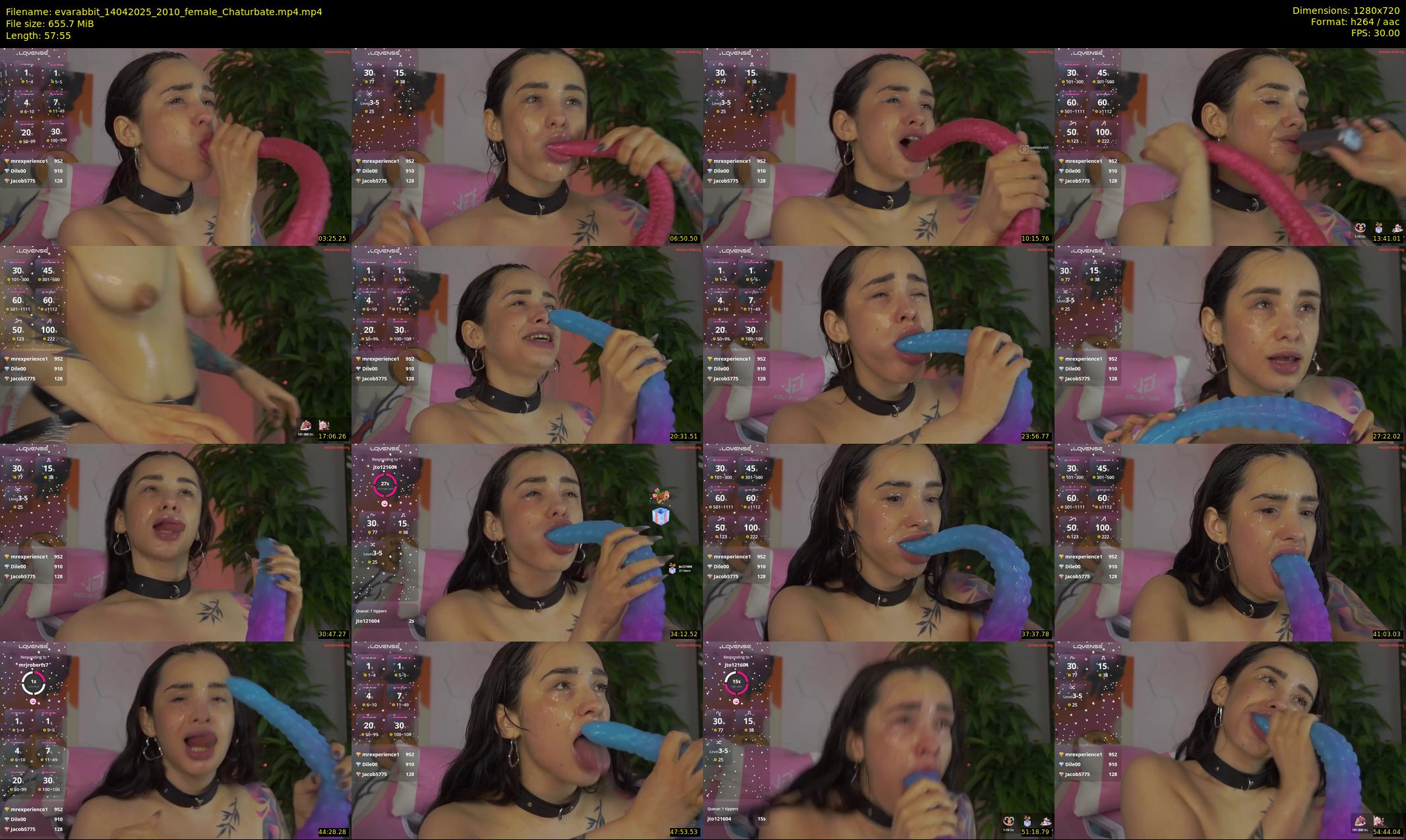 evarabbit — 58 minute Chaturbate female cam show recording, 720p, Apr 14, 2025