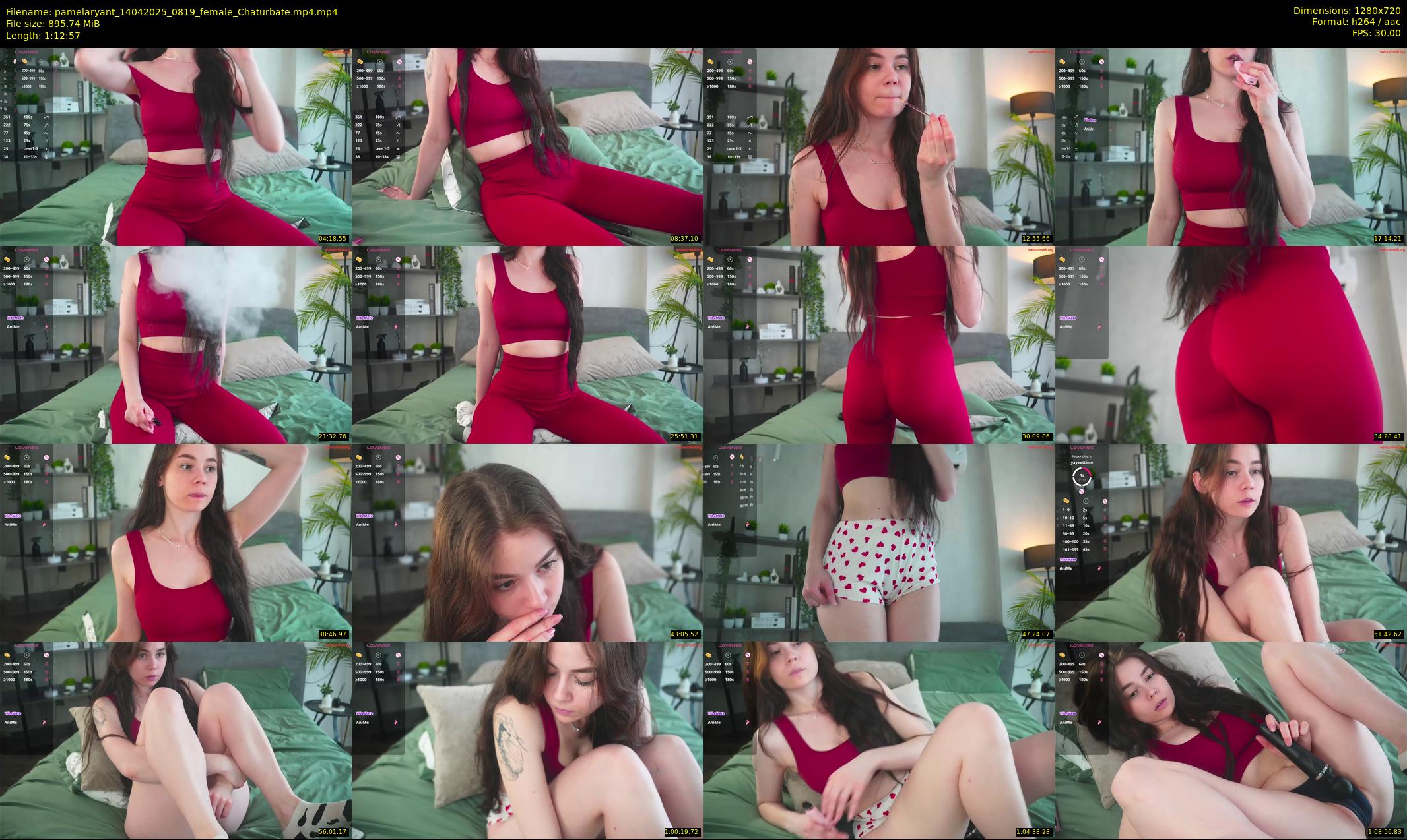 pamelaryant — 73 minute Chaturbate female cam show recording, 720p, Apr 14, 2025