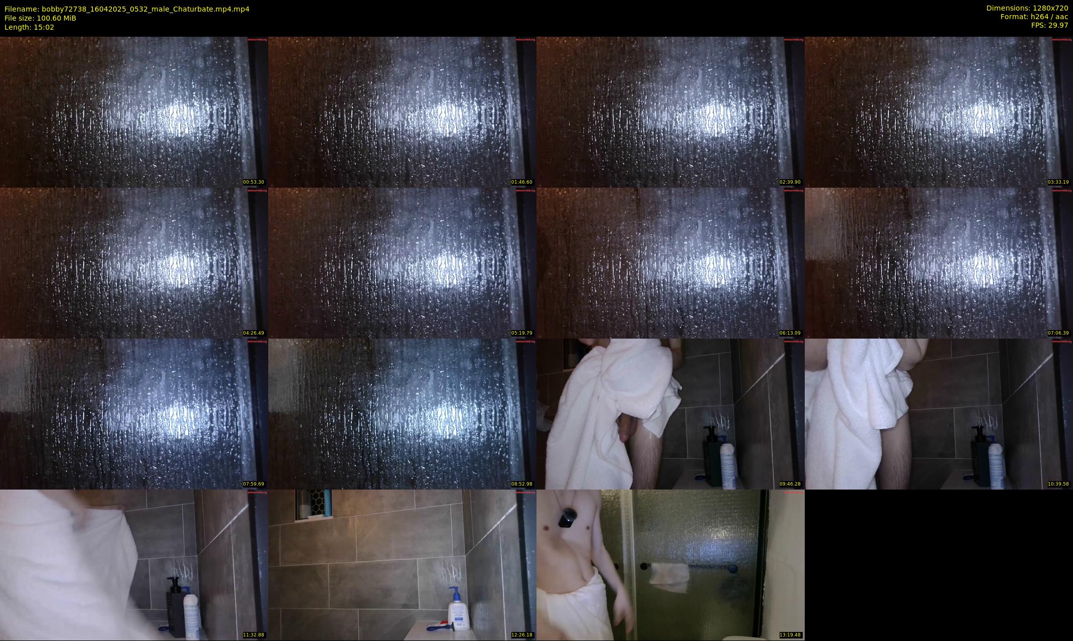bobby72738 — 16 minute Chaturbate male cam show recording, 720p, Apr 16, 2025