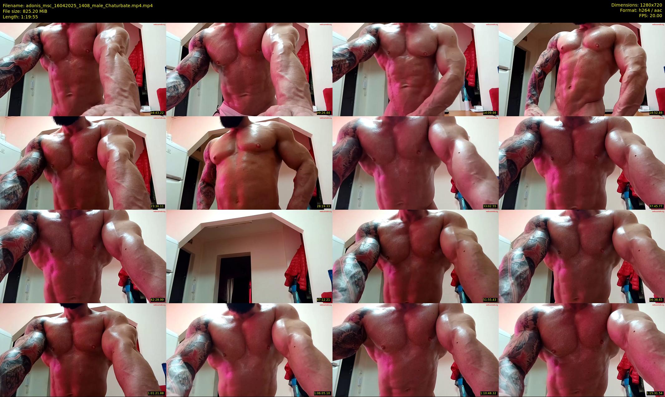 adonis_msc — 80 minute Chaturbate male cam show recording, 720p, Apr 16, 2025