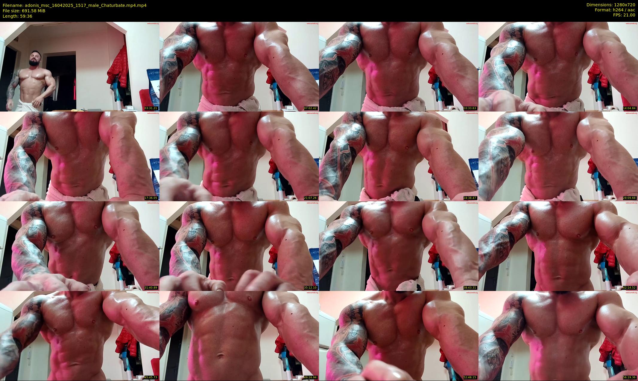 adonis_msc — 60 minute Chaturbate male cam show recording, 720p, Apr 16, 2025