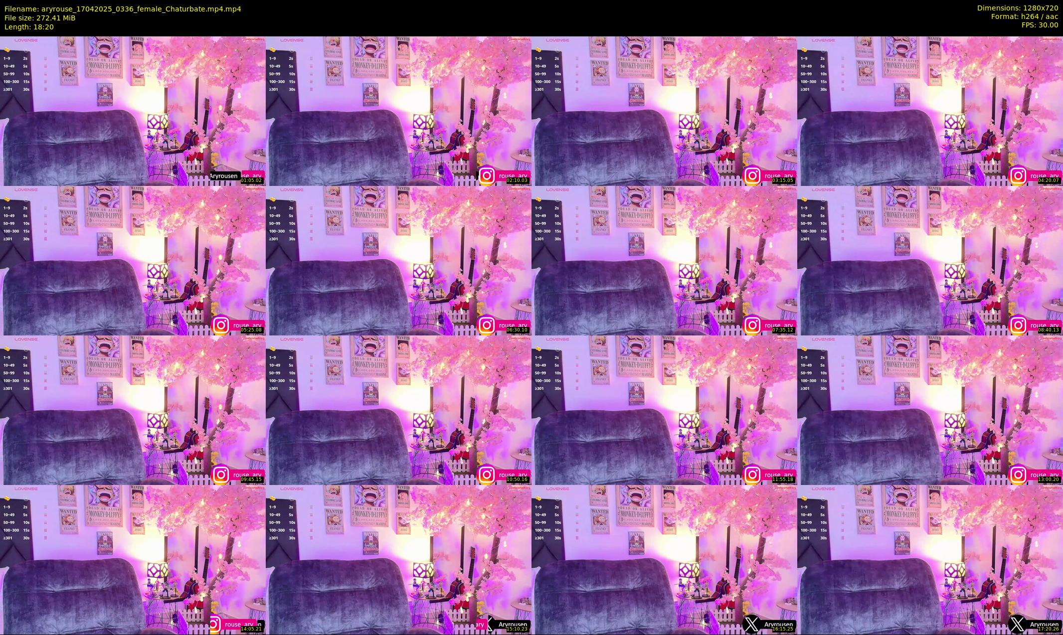 aryrouse — 19 minute Chaturbate female cam show recording, 720p, Apr 17, 2025