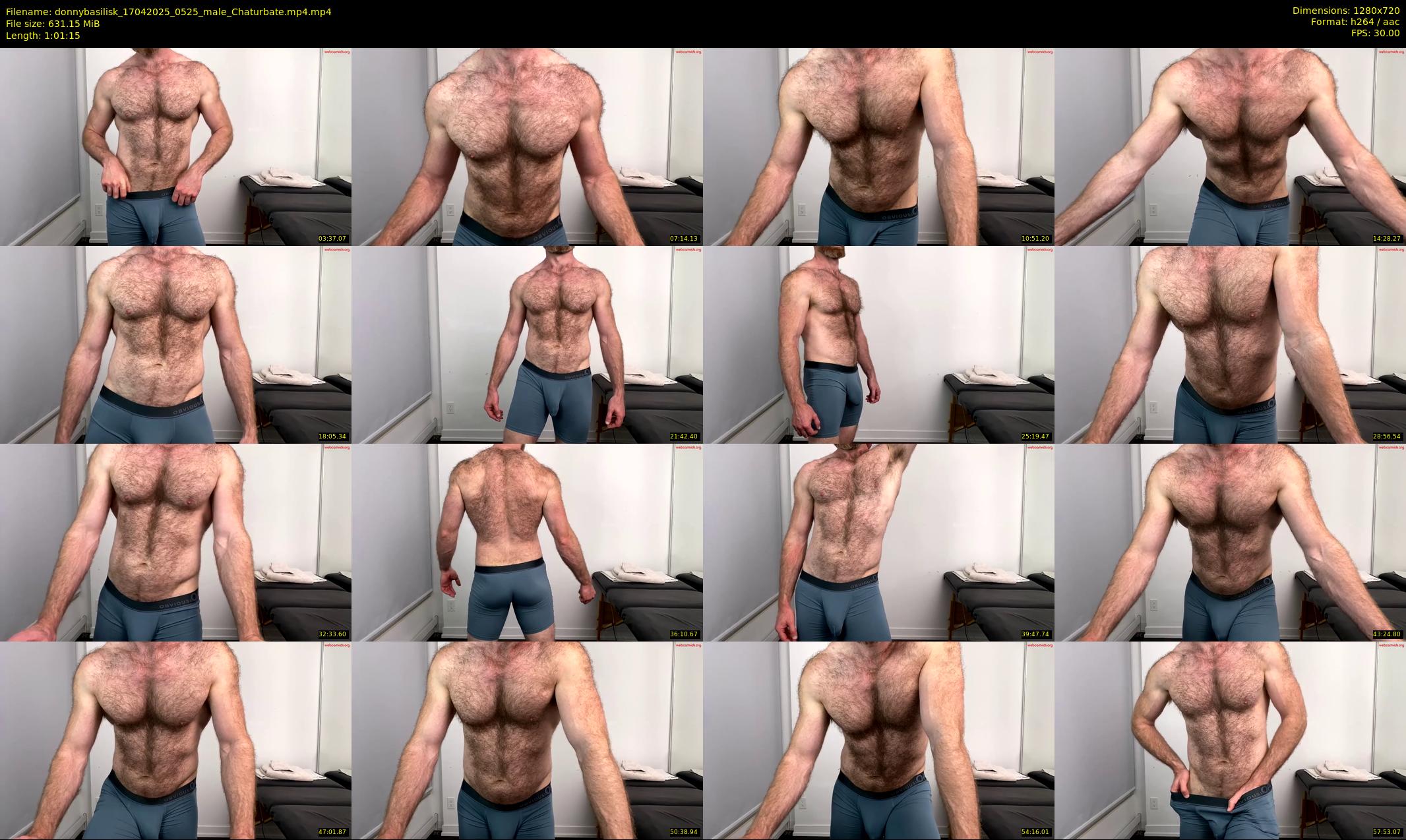 donnybasilisk — 62 minute Chaturbate male cam show recording, 720p, Apr 17, 2025