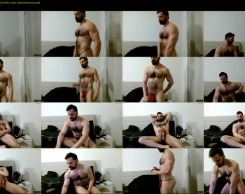 therealkingyoshi — 19 minute Chaturbate male cam show recording, 720p, Apr 17, 2025
