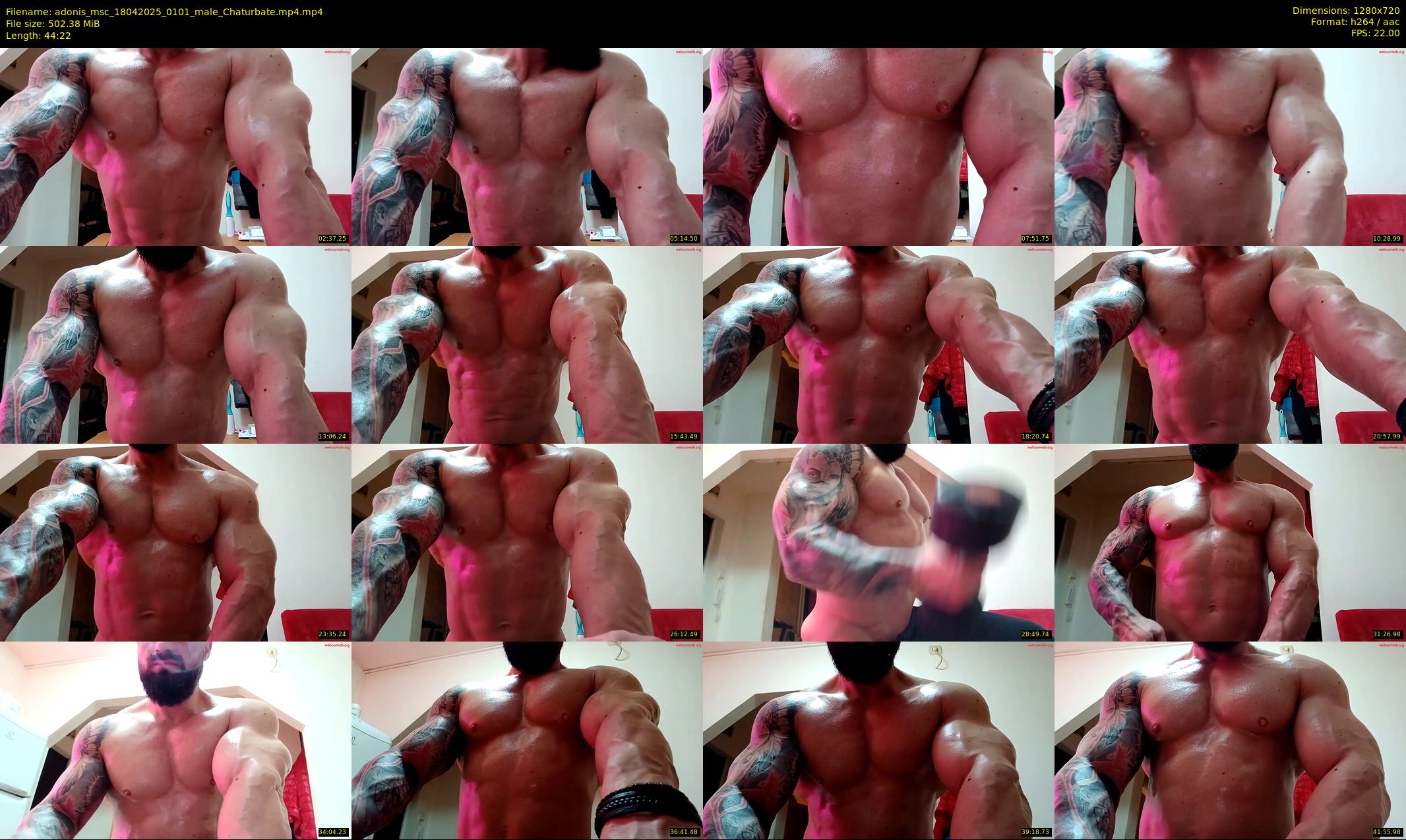 adonis_msc — 45 minute Chaturbate male cam show recording, 720p, Apr 18, 2025