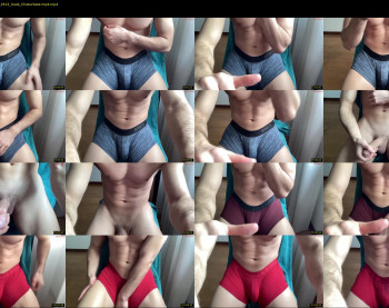 bestdick1991 — 85 minute Chaturbate male cam show recording, 720p, Apr 17, 2025