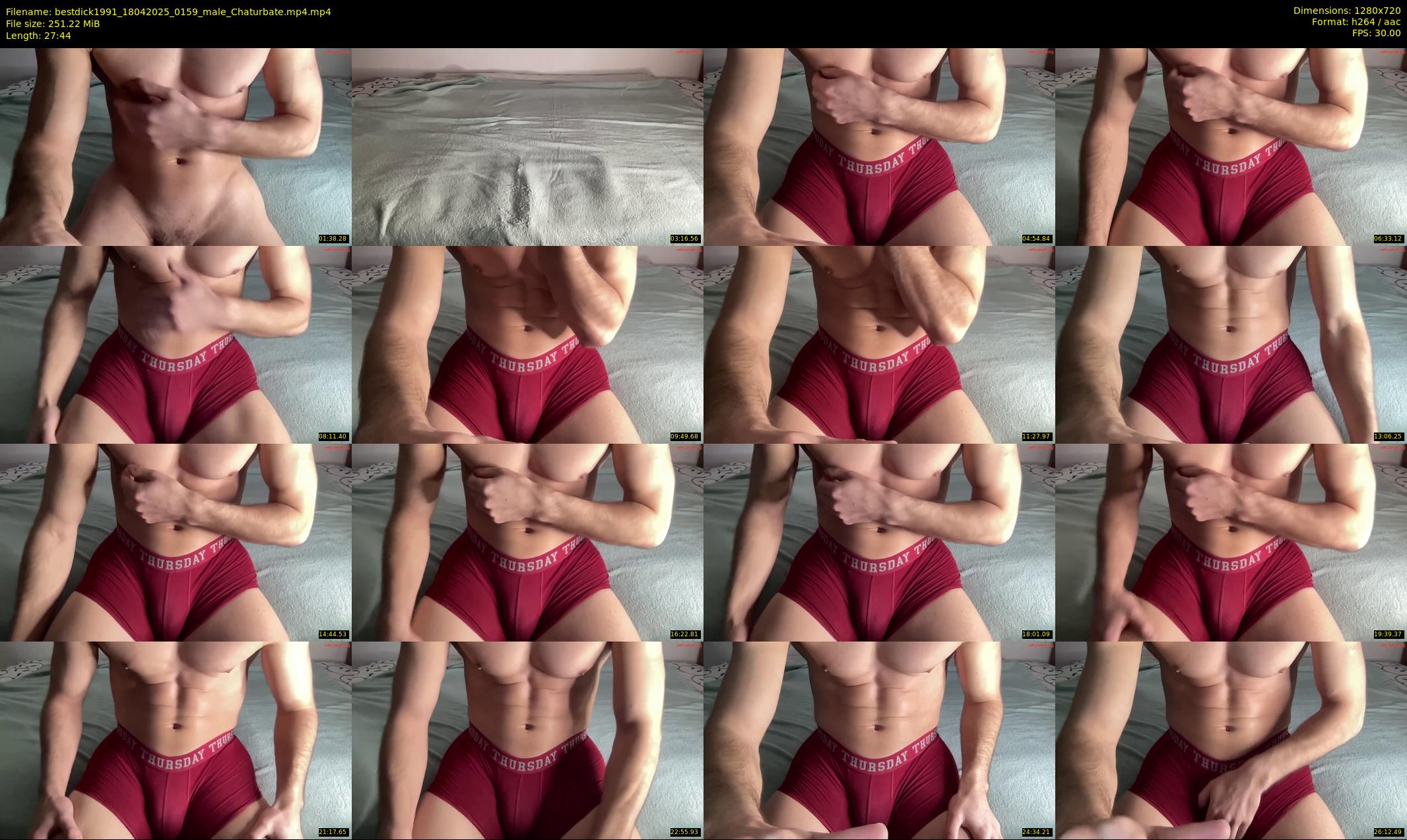 bestdick1991 — 28 minute Chaturbate male cam show recording, 720p, Apr 18, 2025