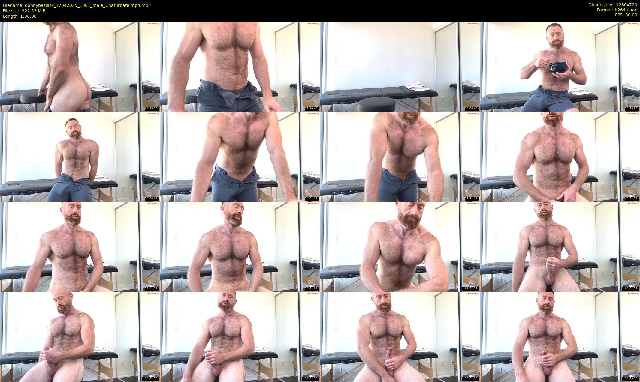 donnybasilisk — 96 minute Chaturbate male cam show recording, 720p, Apr 17, 2025