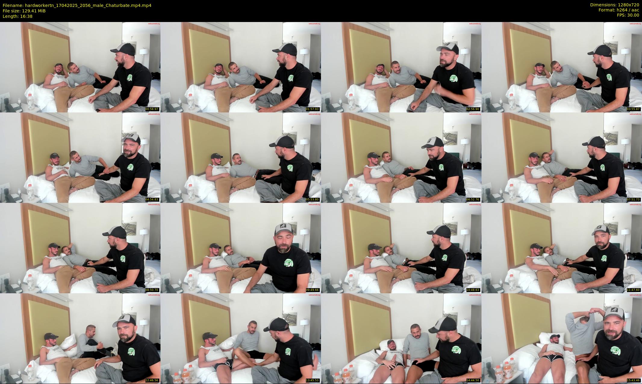 hardworkertn — 17 minute Chaturbate male cam show recording, 720p, Apr 17, 2025