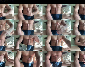 mrddiggler18 — 23 minute Chaturbate male cam show recording, 480p, Apr 17, 2025