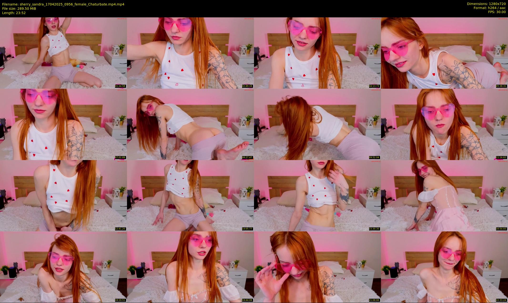sherry_sandra — 24 minute Chaturbate female cam show recording, 720p, Apr 17, 2025