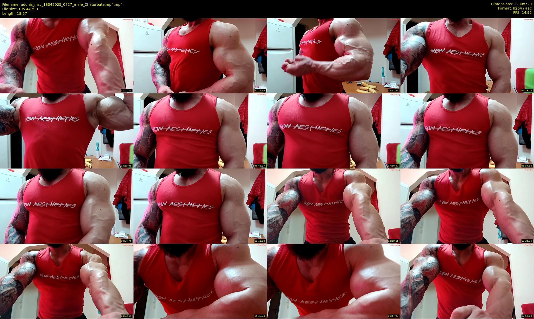 adonis_msc — 19 minute Chaturbate male cam show recording, 720p, Apr 18, 2025