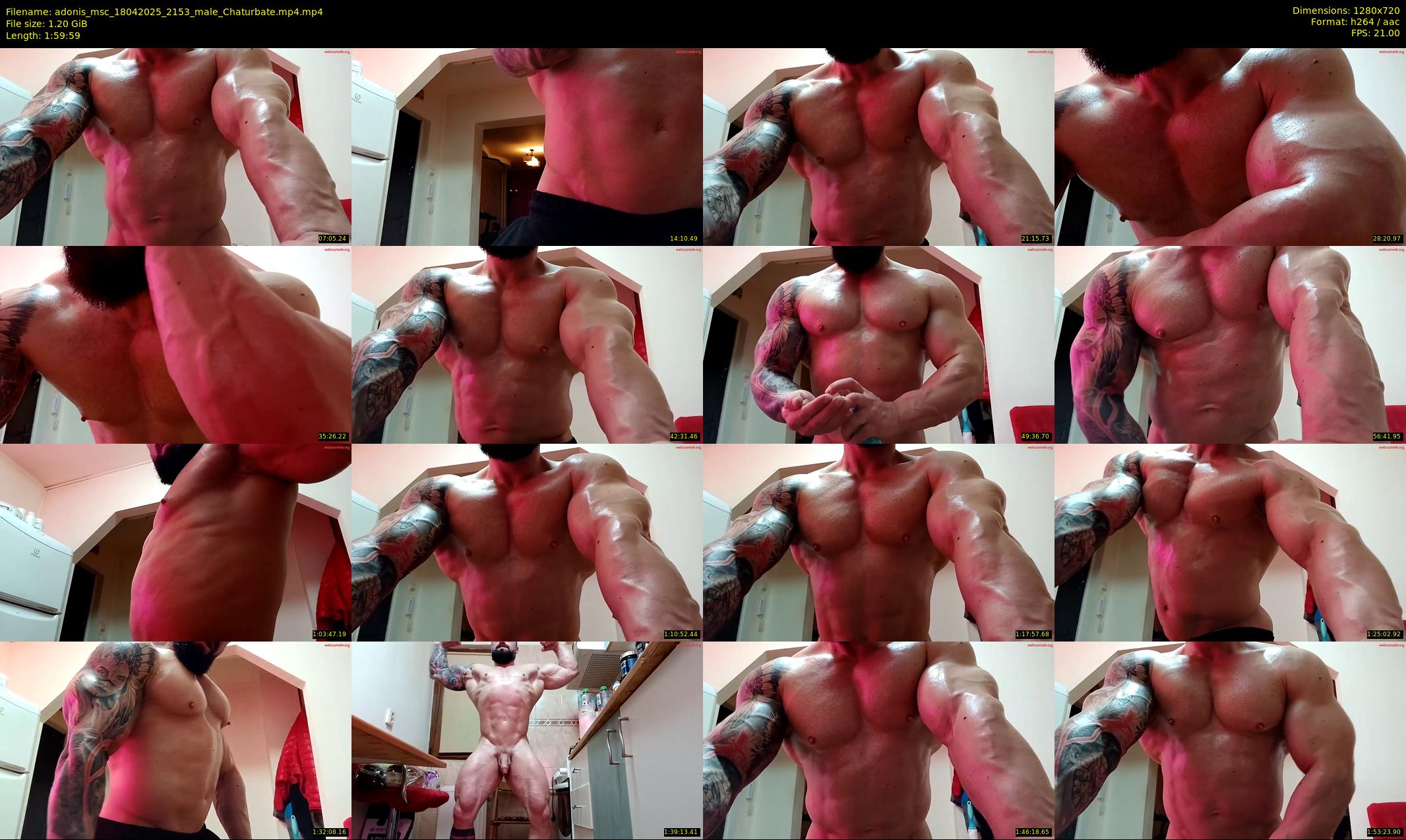 adonis_msc — 120 minute Chaturbate male cam show recording, 720p, Apr 18, 2025