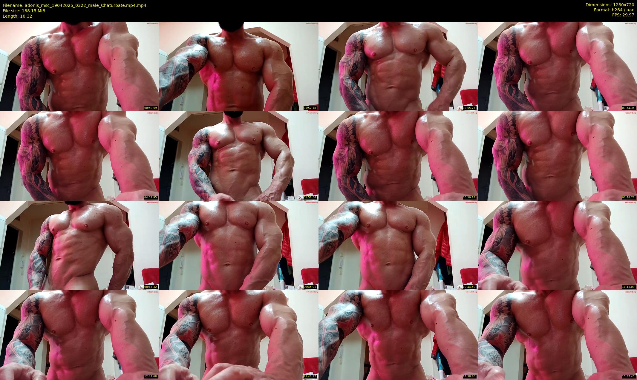 adonis_msc — 17 minute Chaturbate male cam show recording, 720p, Apr 19, 2025
