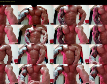 adonis_msc — 17 minute Chaturbate male cam show recording, 720p, Apr 19, 2025