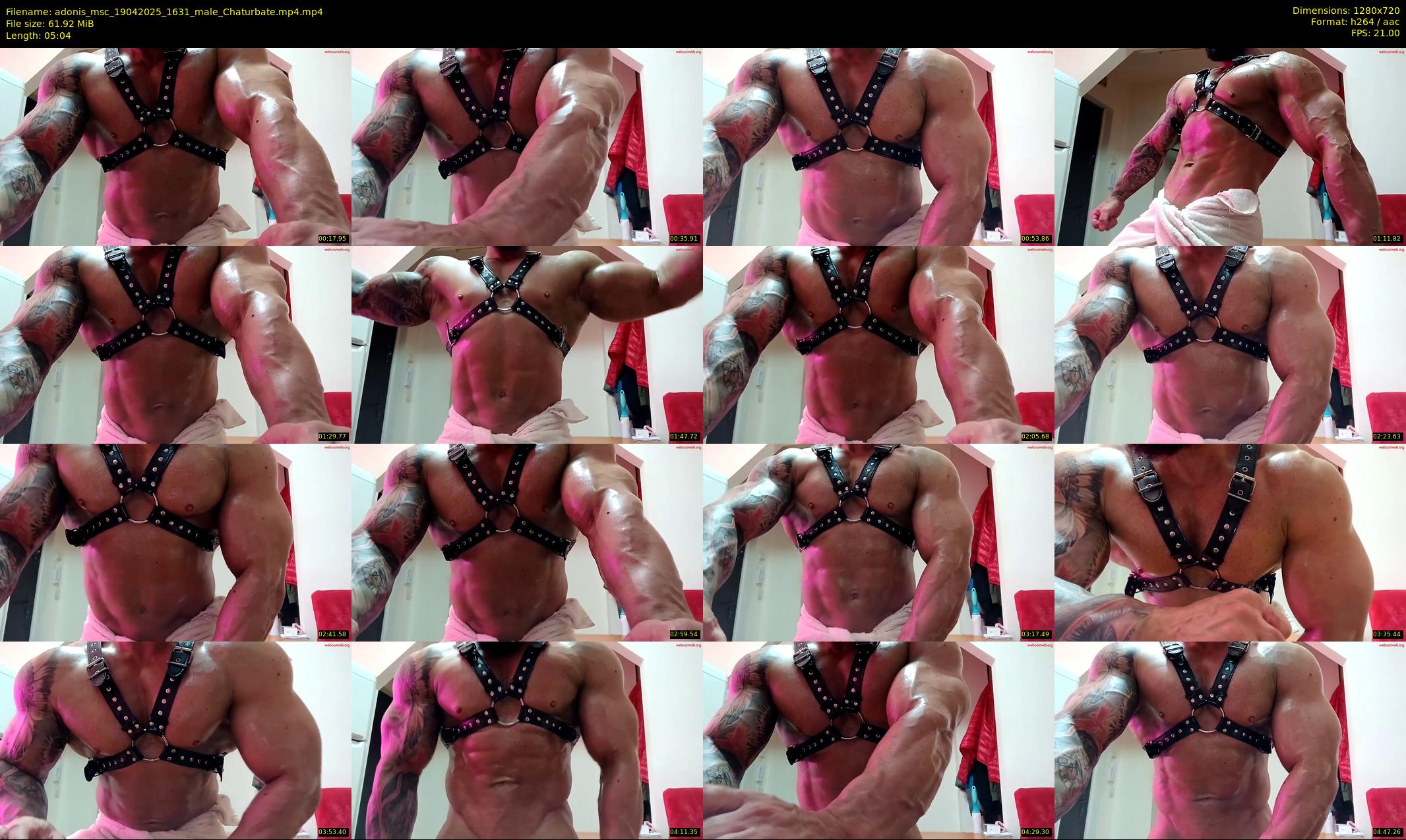 adonis_msc — 6 minute Chaturbate male cam show recording, 720p, Apr 19, 2025