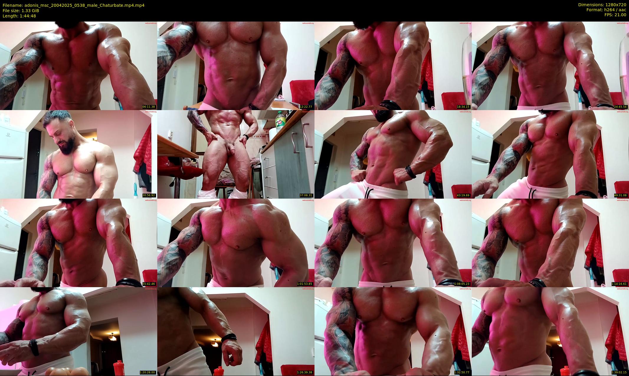 adonis_msc — 105 minute Chaturbate male cam show recording, 720p, Apr 20, 2025