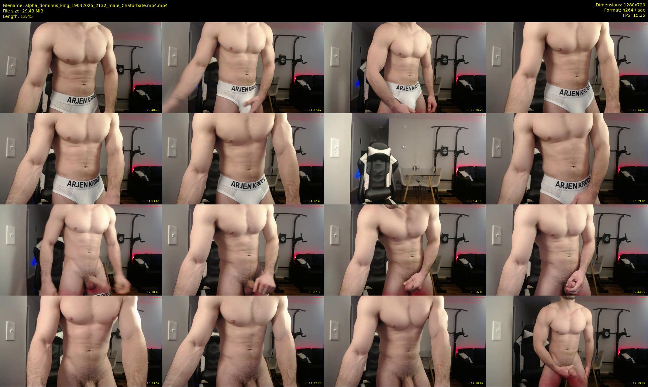 alpha_dominus_king — 14 minute Chaturbate male cam show recording, 720p, Apr 19, 2025