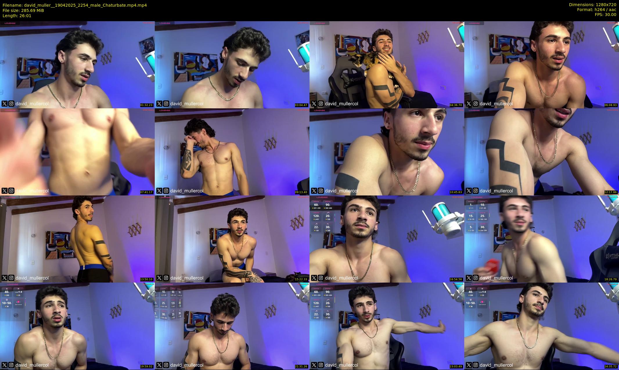 david_muller_ — 27 minute Chaturbate male cam show recording, 720p, Apr 19, 2025