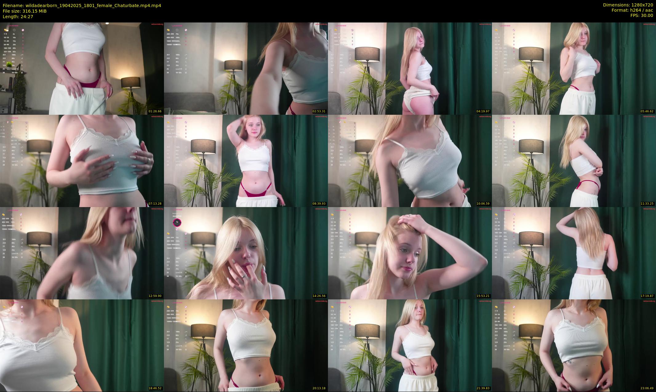 wildadearborn — 25 minute Chaturbate female cam show recording, 720p, Apr 19, 2025