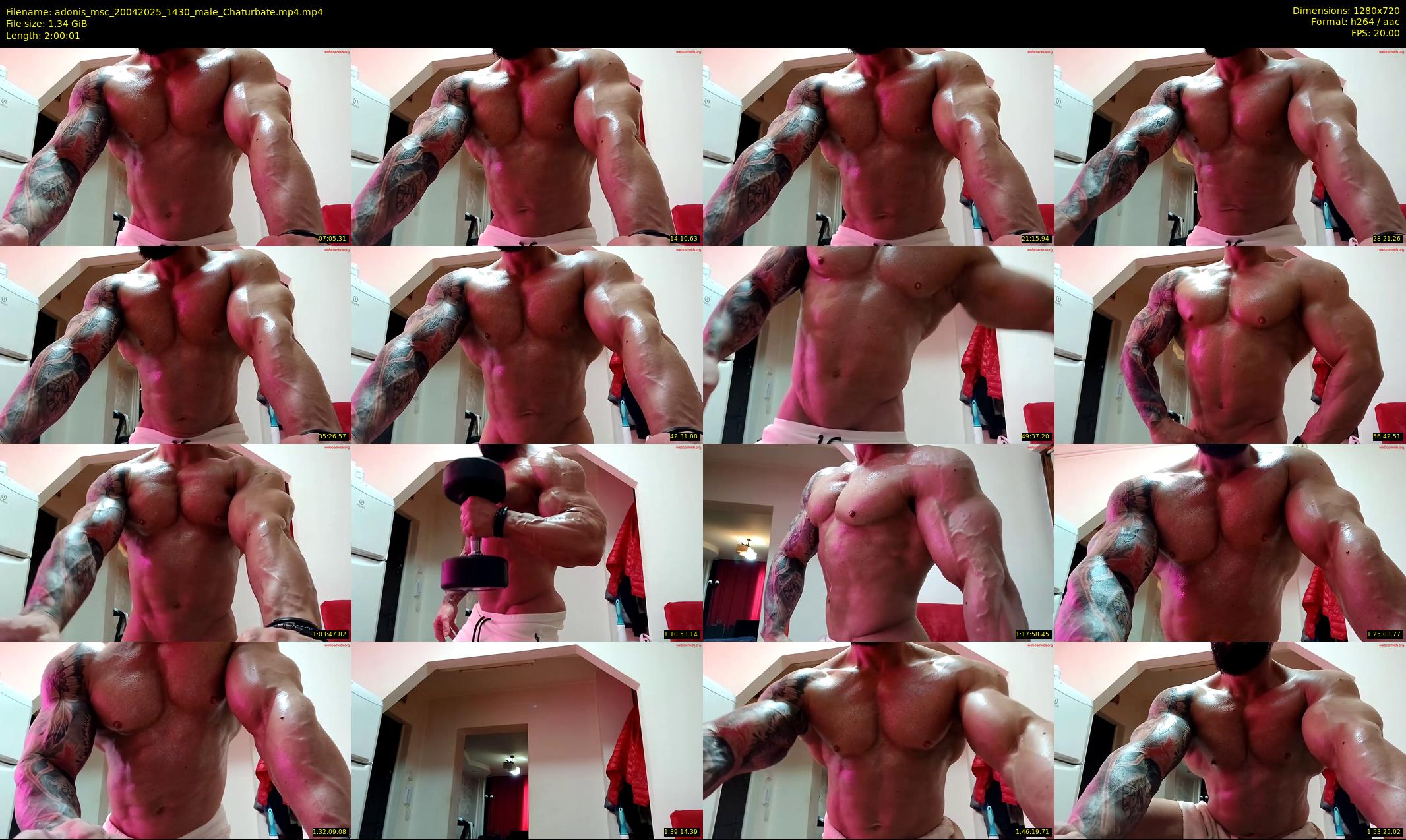 adonis_msc — 121 minute Chaturbate male cam show recording, 720p, Apr 20, 2025