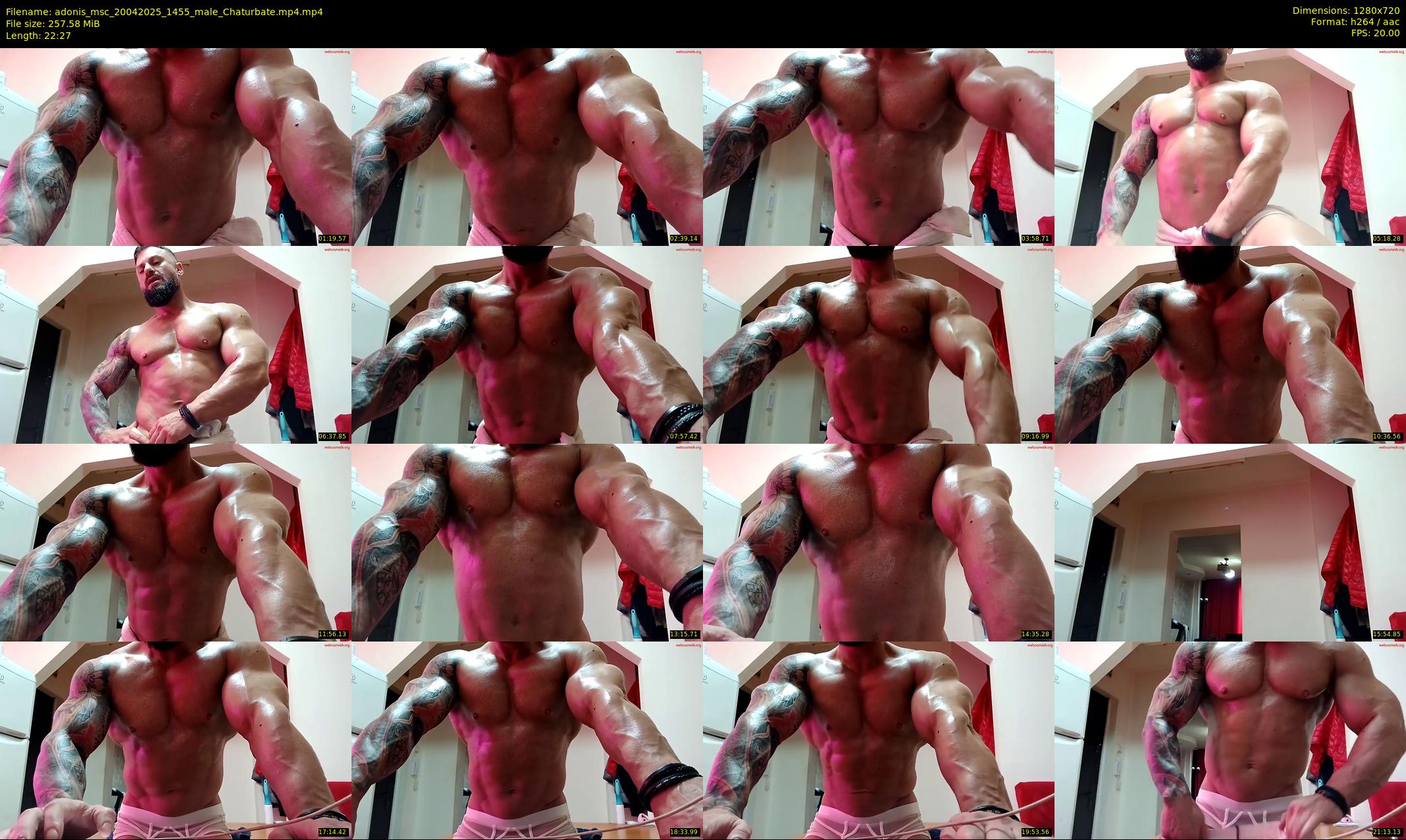 adonis_msc — 23 minute Chaturbate male cam show recording, 720p, Apr 20, 2025