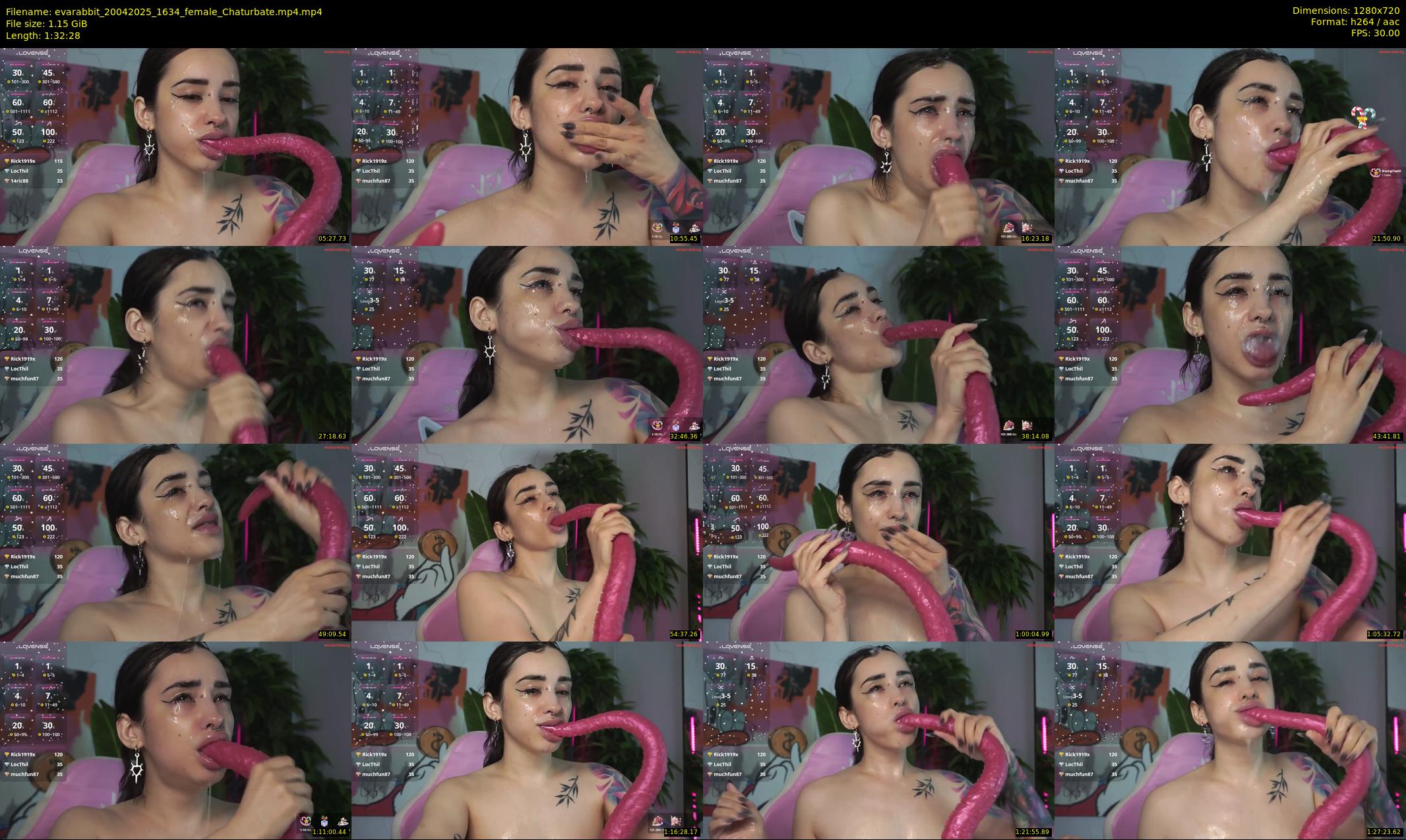 evarabbit — 93 minute Chaturbate female cam show recording, 720p, Apr 20, 2025