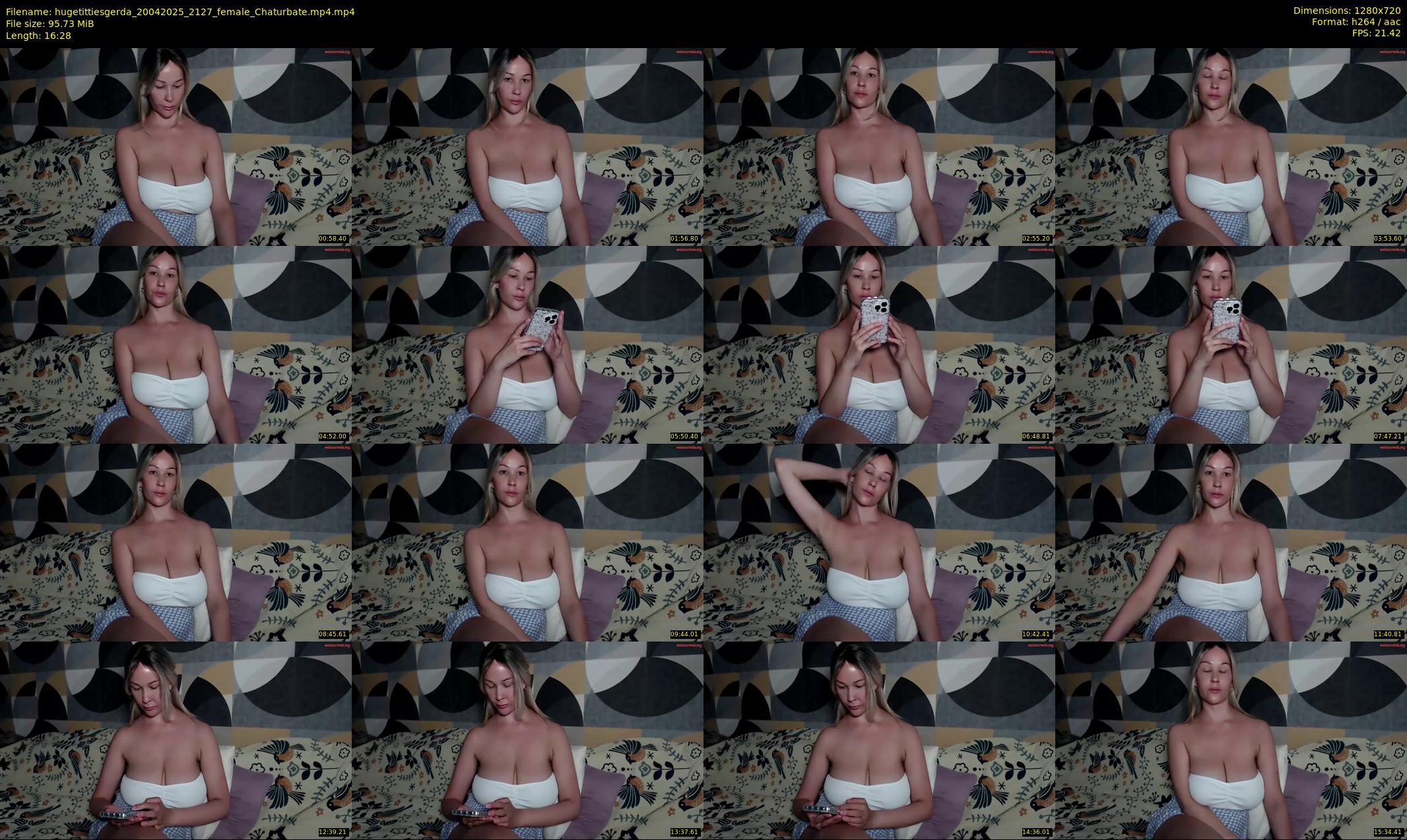 hugetittiesgerda — 17 minute Chaturbate female cam show recording, 720p, Apr 20, 2025