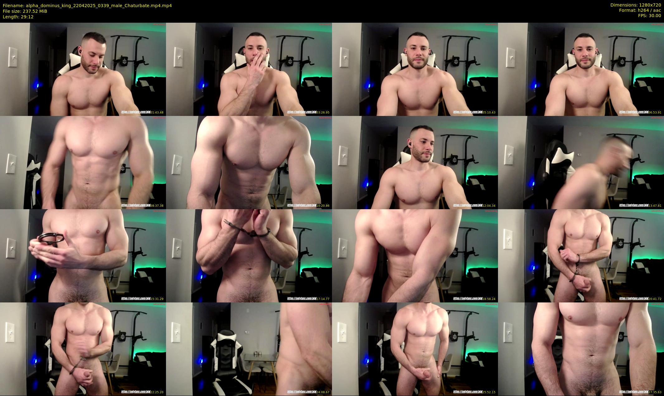 alpha_dominus_king — 30 minute Chaturbate male cam show recording, 720p, Apr 22, 2025