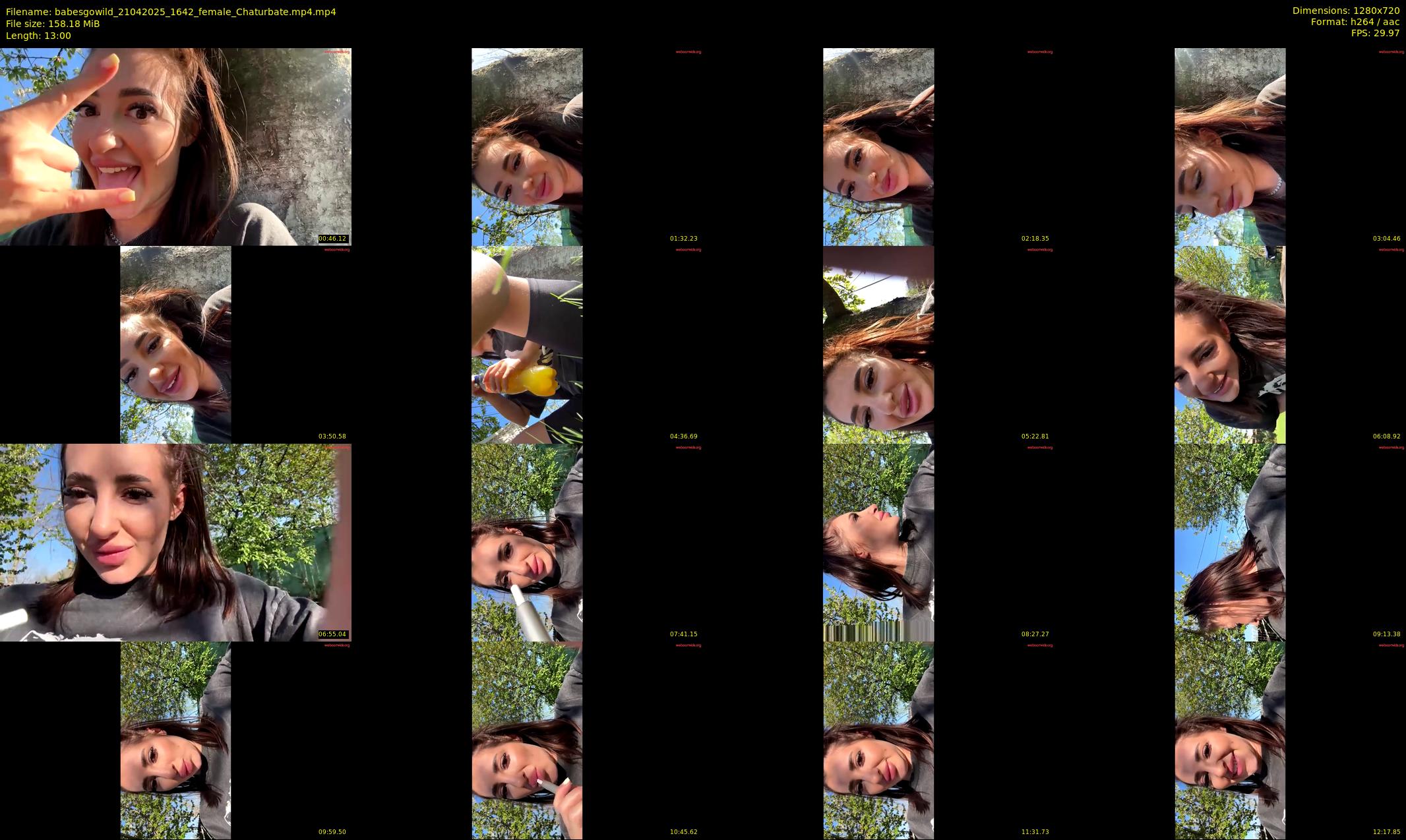 babesgowild — 13 minute Chaturbate couple cam show recording, 720p, Apr 21, 2025